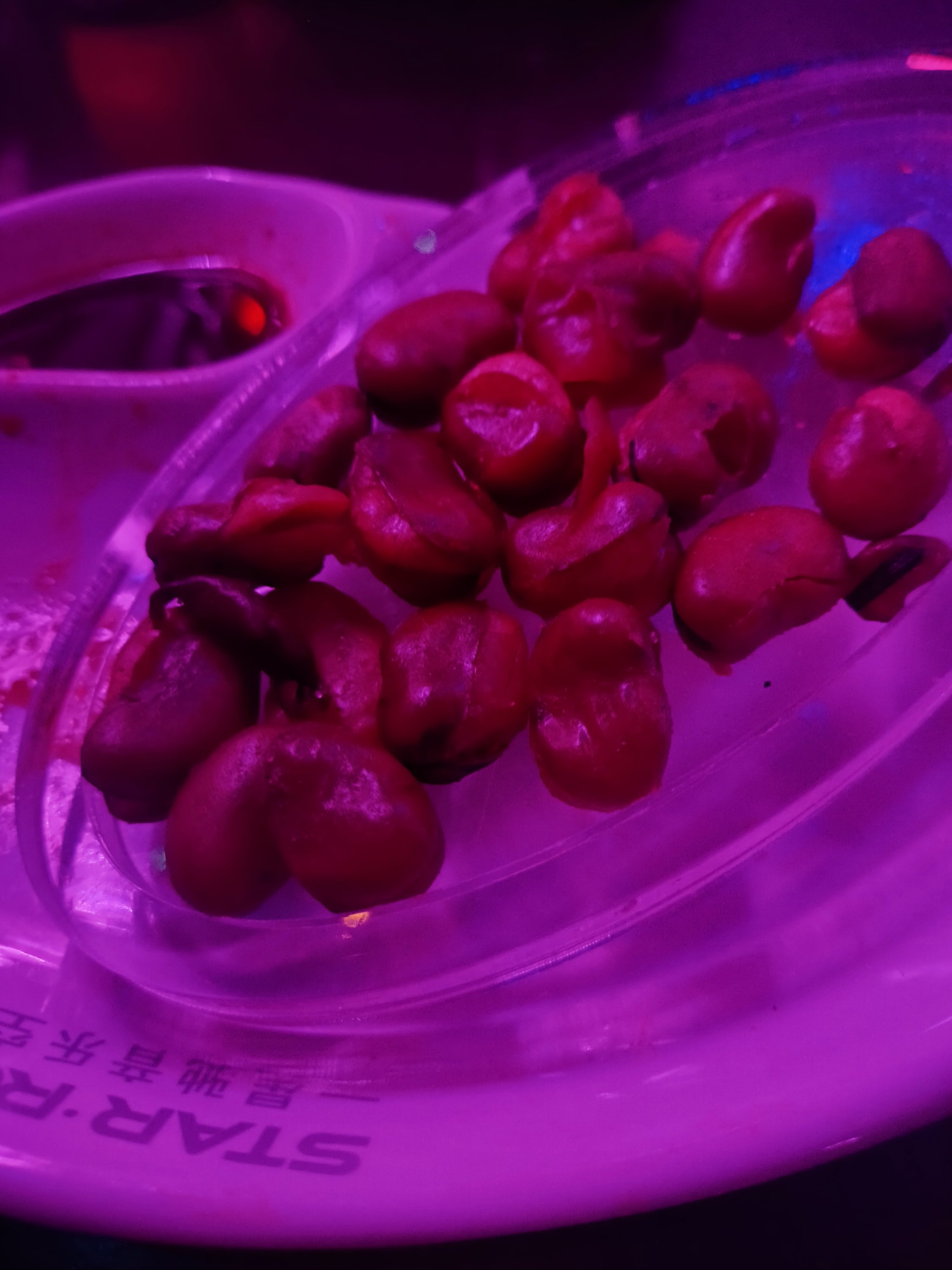 荆州商务KTV订房指南-洪湖市ktv预定